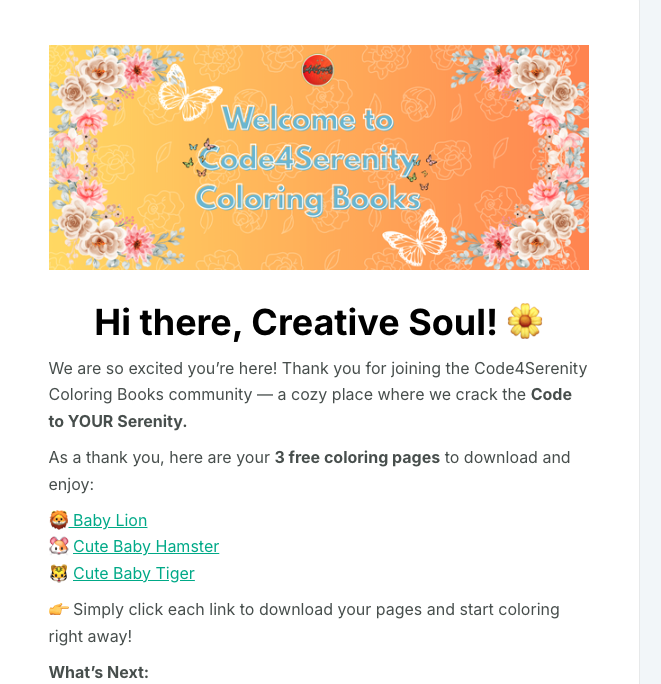 MailerLite Campaign Screenshot